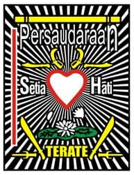 Logo PSHT